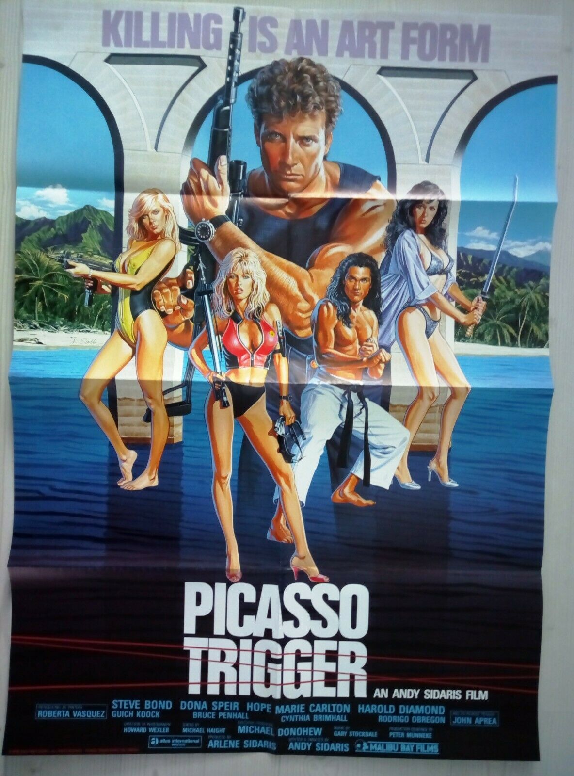 Movie Poster -  Picasso Trigger Steve Bond / Dona Speir